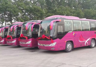 青岛旅游纯玩攻略：吃住行玩全指南，一站式搞定你的旅行！