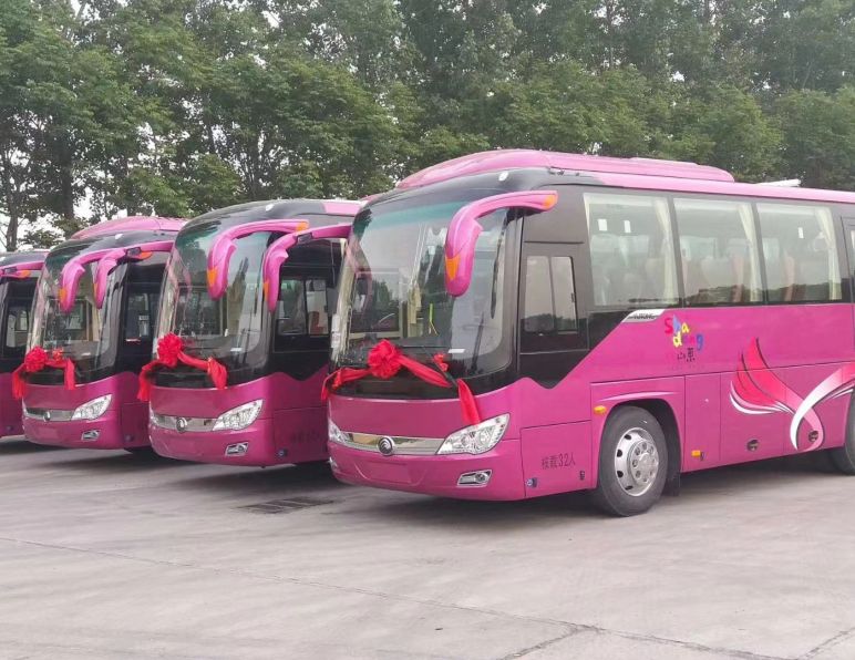 【青岛旅游全攻略】自驾·拼车·跟团全搞定，一站式畅玩海滨之城！