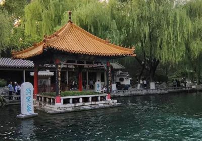 济南旅游最佳路线全攻略｜打卡泉城美景，轻松出行就选济南众悦汽车、拼巴客运与山东众悦旅游！