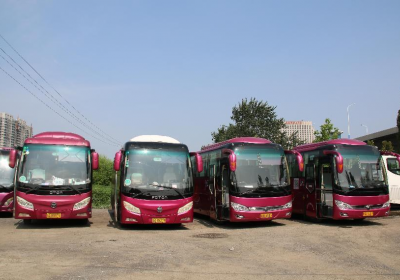 威海旅游价格全解析：如何高性价比玩转海滨城市？