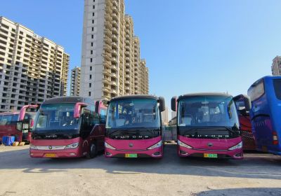 曲阜三孔一日游完整攻略｜孔庙、孔府、孔林深度打卡路线，济南出发轻松玩转儒家圣地