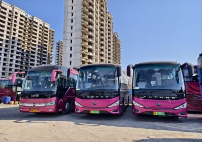 青岛旅游景区路线全攻略｜海滨风情 + 网红打卡，一篇玩转魅力青岛