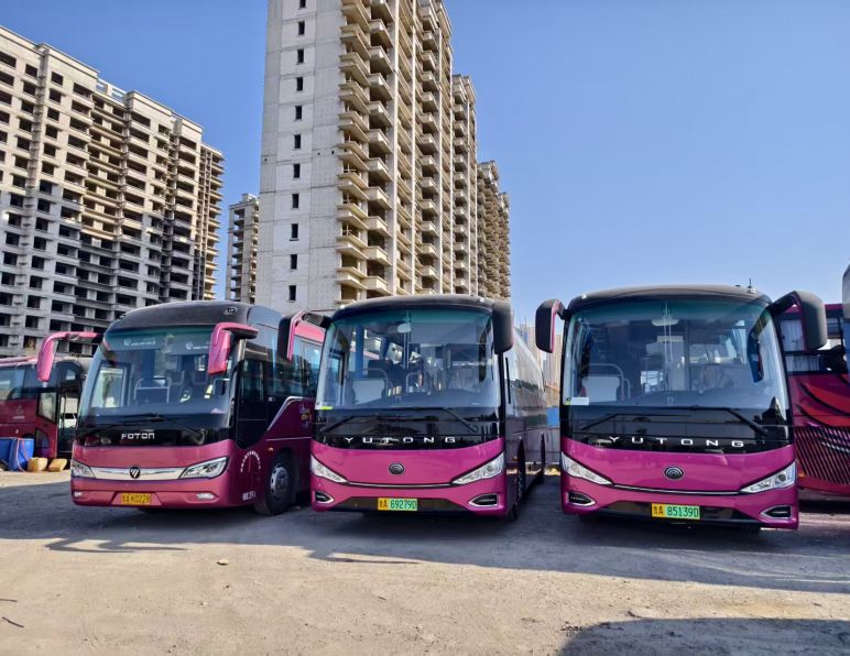 青岛旅游景区路线全攻略｜海滨风情 + 网红打卡，一篇玩转魅力青岛