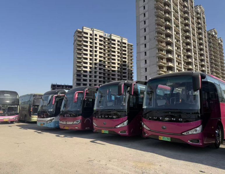 烟台有什么旅游景点值得一去？一次玩遍山海、葡萄酒与浪漫海岸