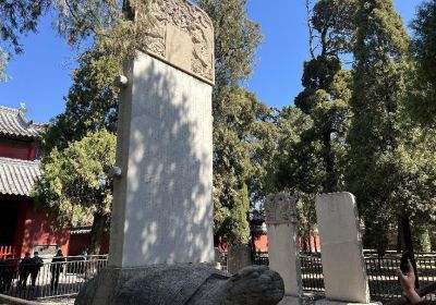 曲阜孔庙旅游全攻略：探访儒家圣地，开启一场穿越千年的文化之旅