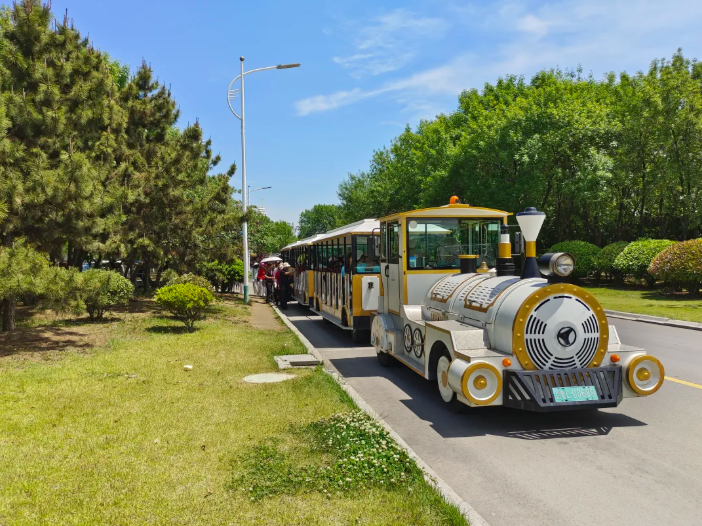 众悦-奥林匹克小火车01 众悦-奥林匹克小火车01