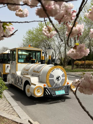 众悦-奥林匹克小火车02 众悦-奥林匹克小火车02