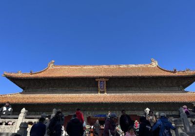 曲阜旅游攻略一日游：济南出发这样玩，三孔精华一次逛完